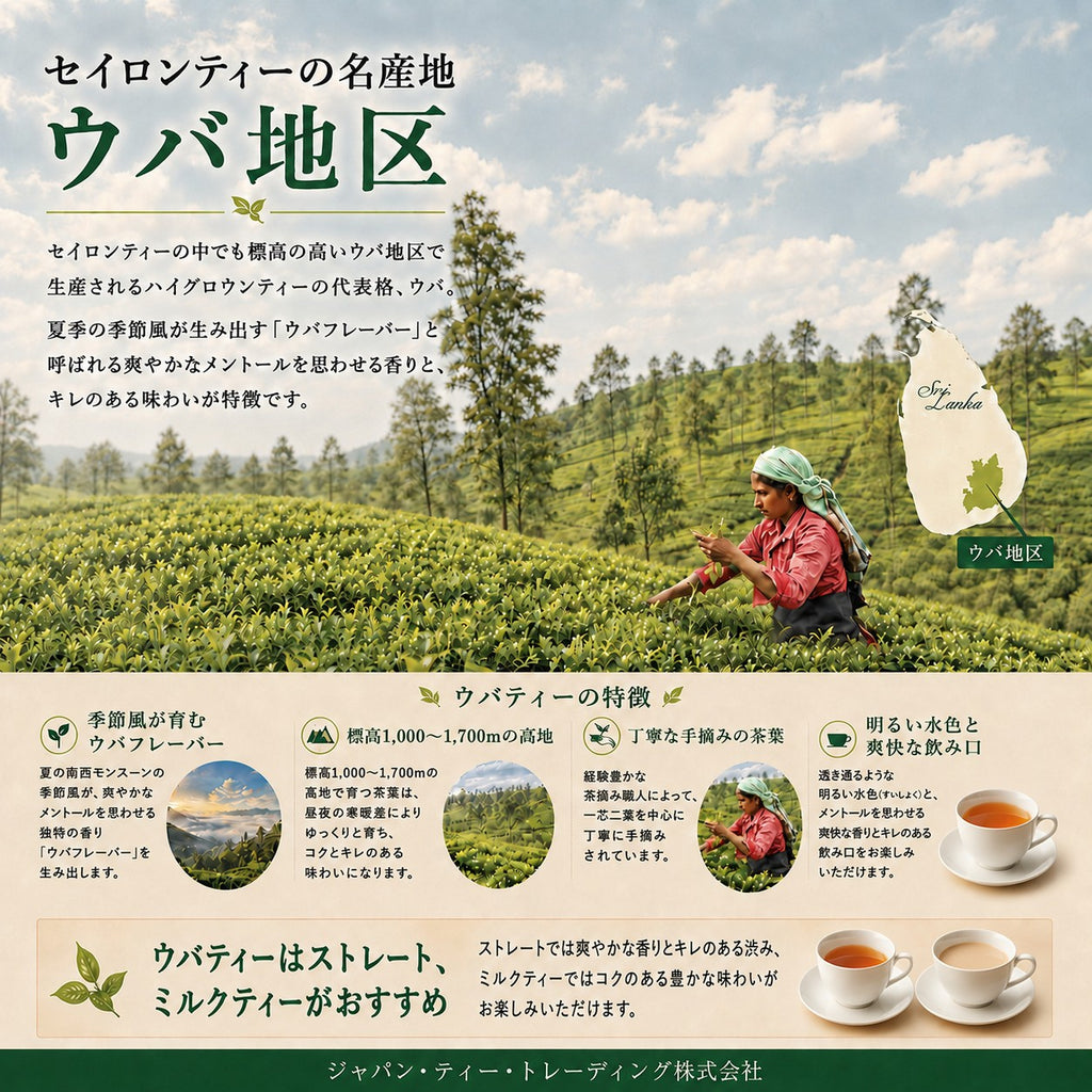 ウバ | ピュアセイロンティー | （木箱入り）
