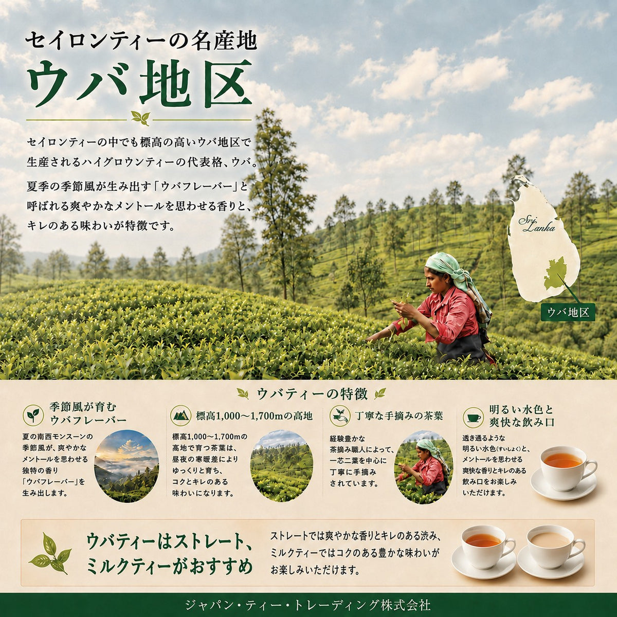 ウバ | ピュアセイロンティー | （木箱入り）